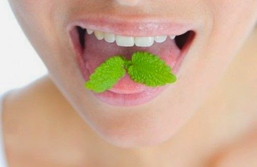 tratamiento de la halitosis