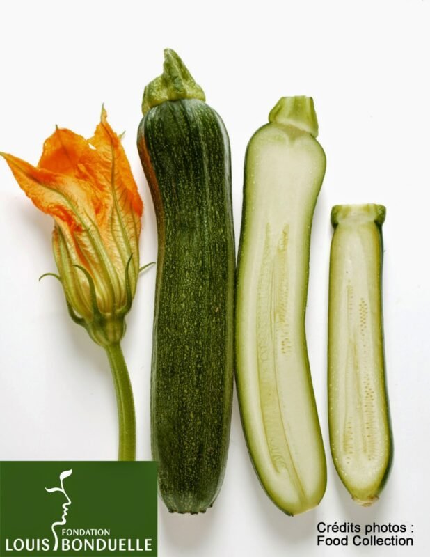 la importancia de la verduras