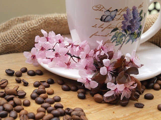 delicioso cafe viaggio espresso