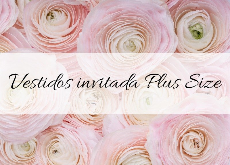 invitada especial Plus Size