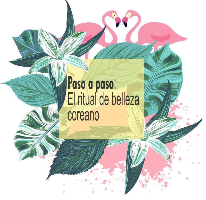 paso a paso el ritual de belleza coreano ritual de belleza paso a paso