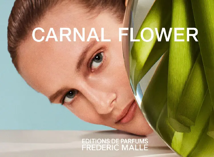 Carnal Flower