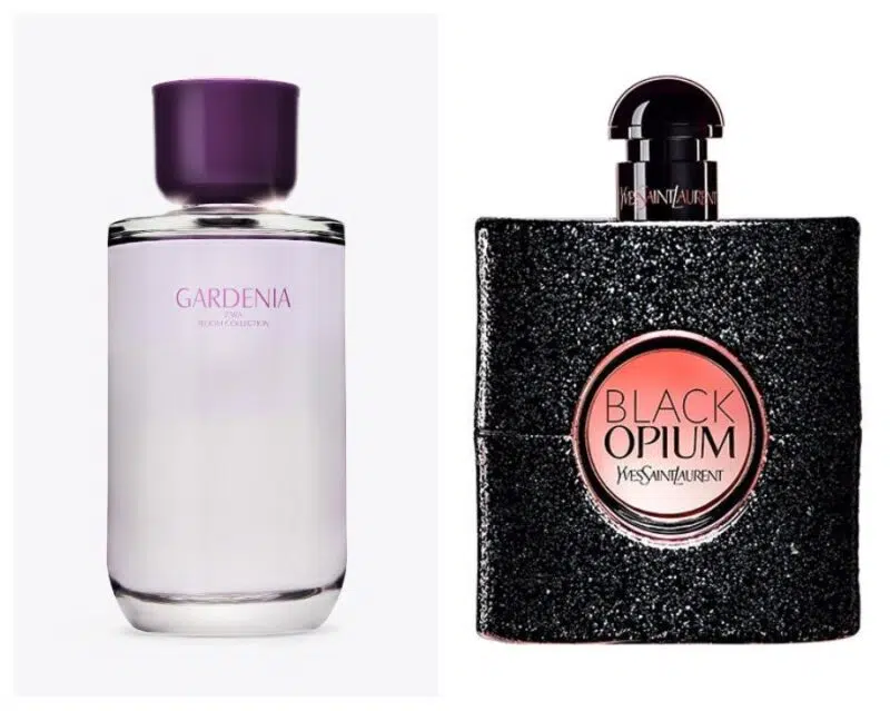 Gardenia similar a Black Opium de YSL perfumes de Zara equivalencias